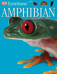 Amphibian
