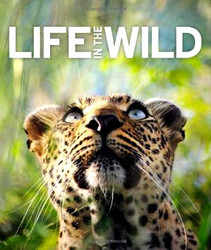 Life In The Wild