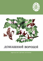 Домашний воробей Домашний воробей